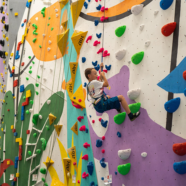 Dětská lanová Jungle