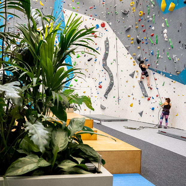 ZAČNI LÉZT JEŠTĚ DNES