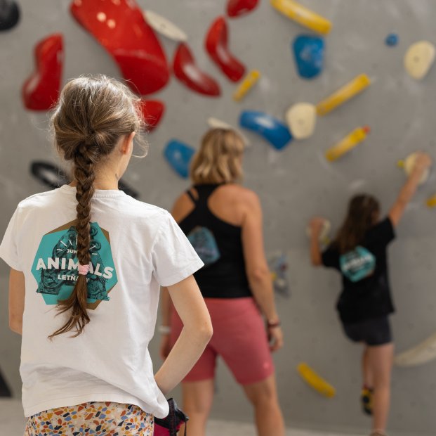 Letňany v pohybu: kurzy Jungle Animals pro děti 2025/2026 jsou tu.